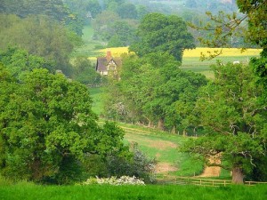 Photo of rural Warwickshire