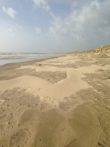 Camber Sands