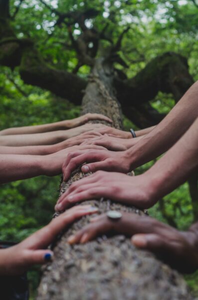 Hands on trees
